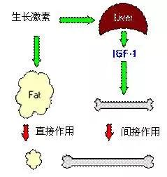 曾桂芳中医的视频,曾桂芳谈孩子早熟症状
