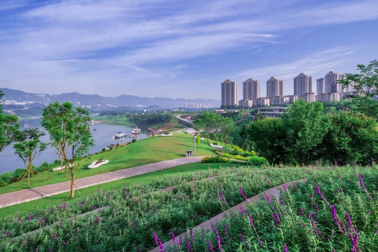 重庆春日踏青哪里好玩,重庆游玩攻略春天赏花