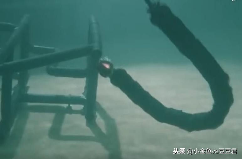 仿生机械蛇结构设计,仿生机器蛇图片大全