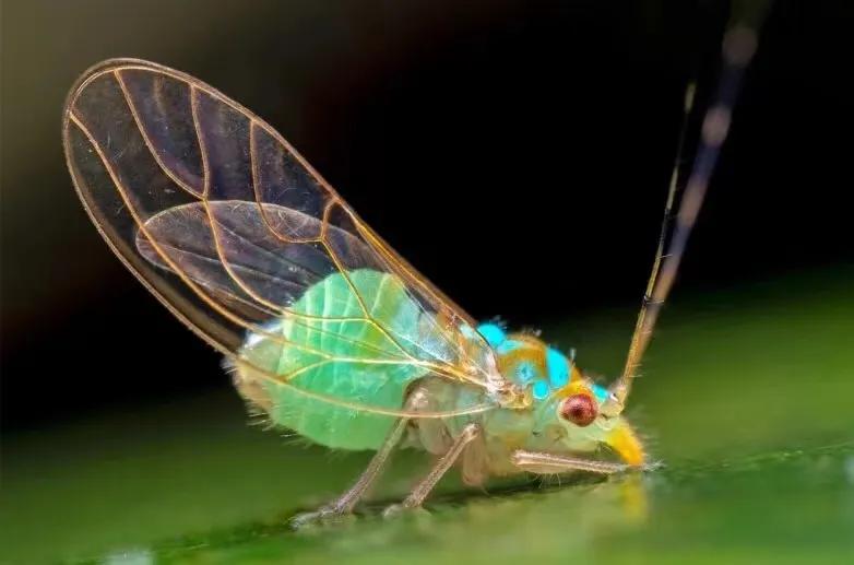 商业计划书入门课创业系列,写好商业计划书如何快速融资