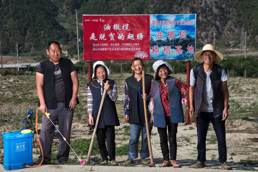 京东三条曲线,京东扶贫商品质量怎样