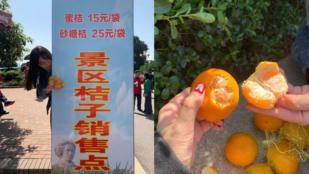 长沙一个回味无穷的城市,心心念念的长沙城