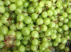 世界稀奇水果品种大全,世界热带奇特水果品种介绍