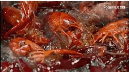 最新神仙综艺节目,2019高分冷门的良心综艺安利