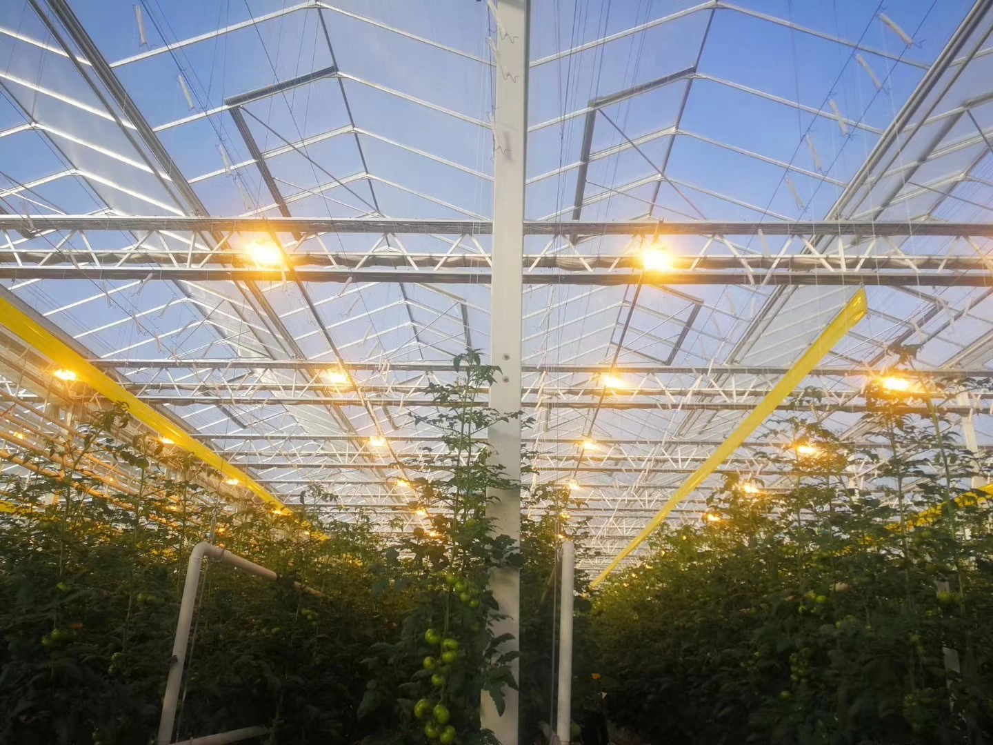 燃煤锅炉最佳代替方法,温室锅炉供暖设备