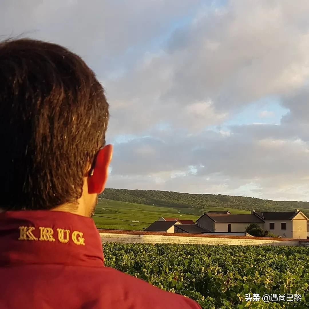 奢侈名酒葡萄酒,奢侈级别红酒