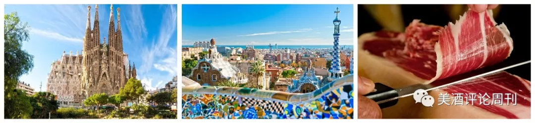 最贵、最知名、最超值、最具潜力！充满「最」的超级话题性产区