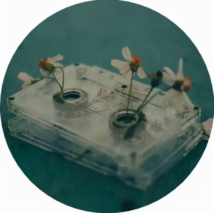 人过中年后想要过得无忧无虑,中年以后沉住气做人沉下心做事