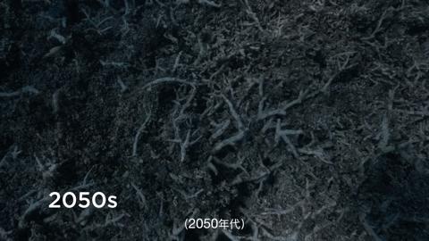 豆瓣2.5分神作,豆瓣9.5分的神作不该如此小众