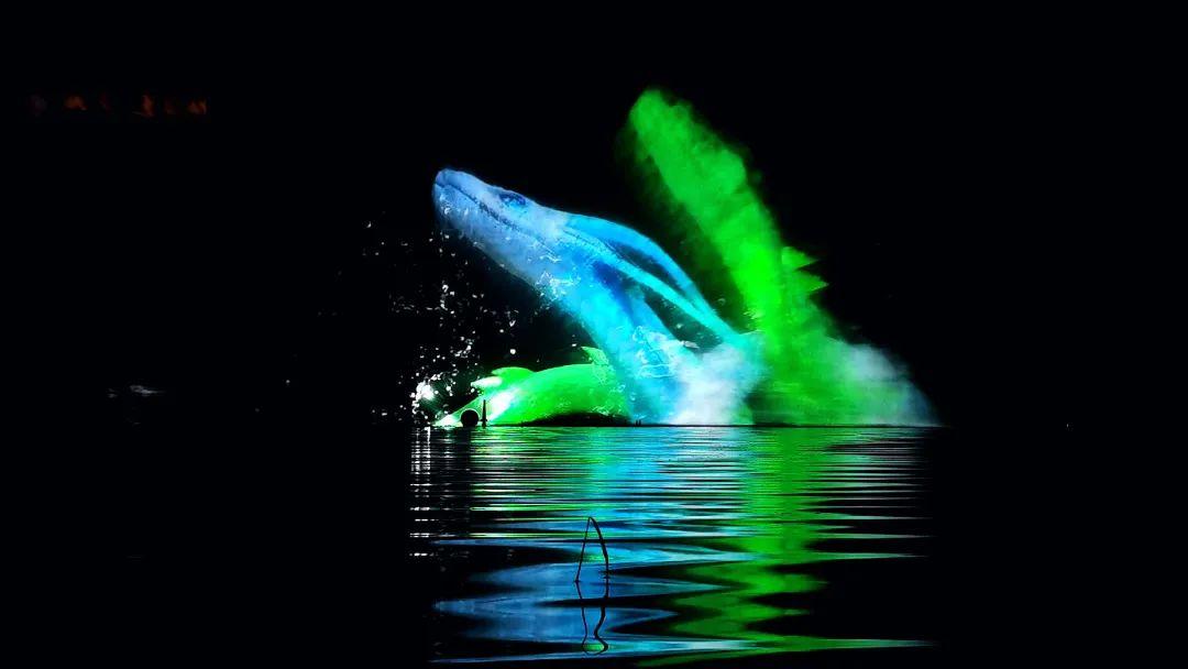 祝峨眉莲花湖水秀项目《万物生》荣获2021年度优秀数字文旅项目奖