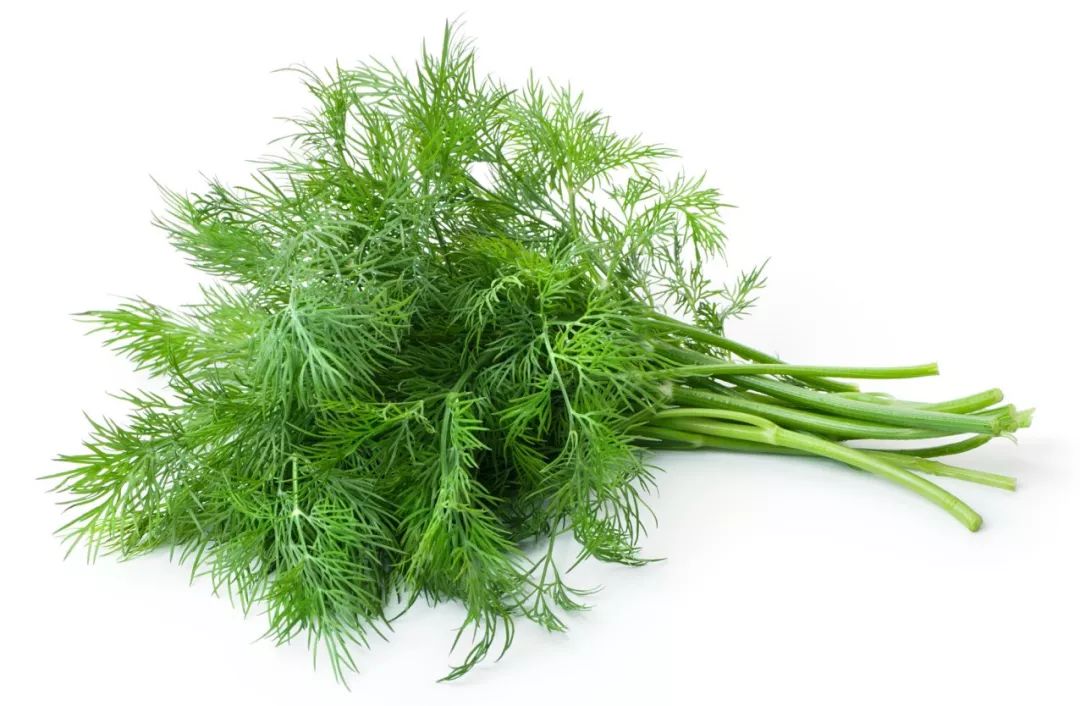 春夏补肾阳秋冬补肾阴,春夏季节补肾吃什么药