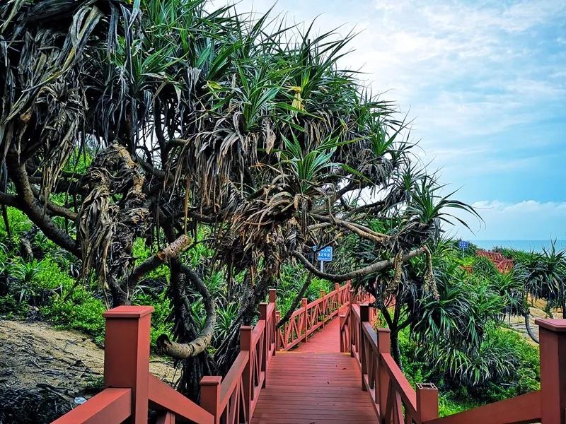 昌江原生态热带雨林森林秘境,海南万宁一个被大自然宠爱的地方