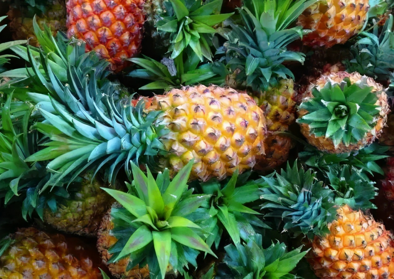 今日小满，遇见初夏！这个季节海南有哪些水果可以吃到爽？