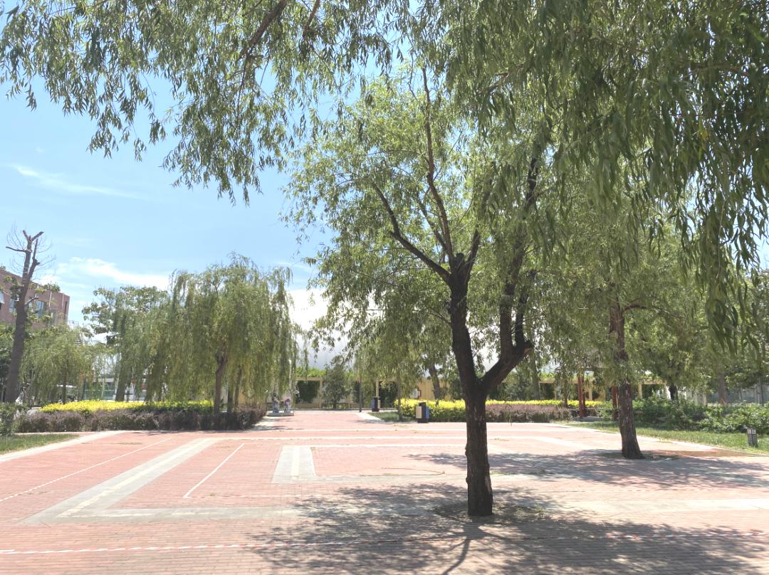 水木致尚考研数据是真的吗,水木致尚考研机构费用