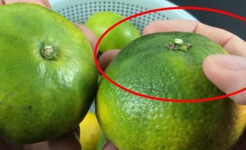 怎么样吃橘子的小技巧,又到了吃橘子的季节学会4个技巧