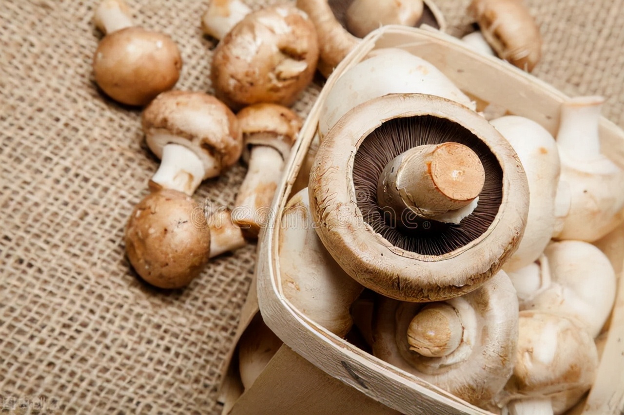 如何降低血液中同型半胱氨酸偏高,健康科普血肌酐升高