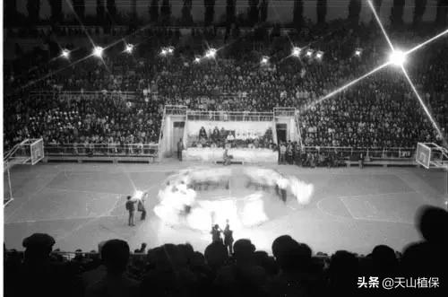 上榜啦！*疆新**鸟市和石市即将被国家命名！未来发展不可估量