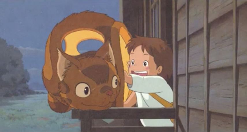 龙猫可怕的真相,龙猫事件真相揭秘