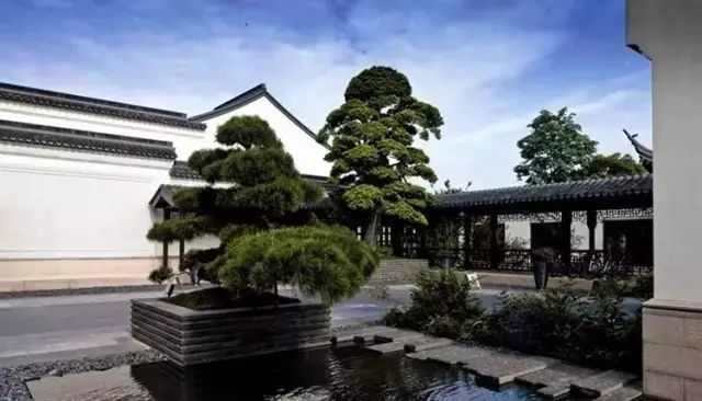 中国人的院子,中国人的院子深度解析