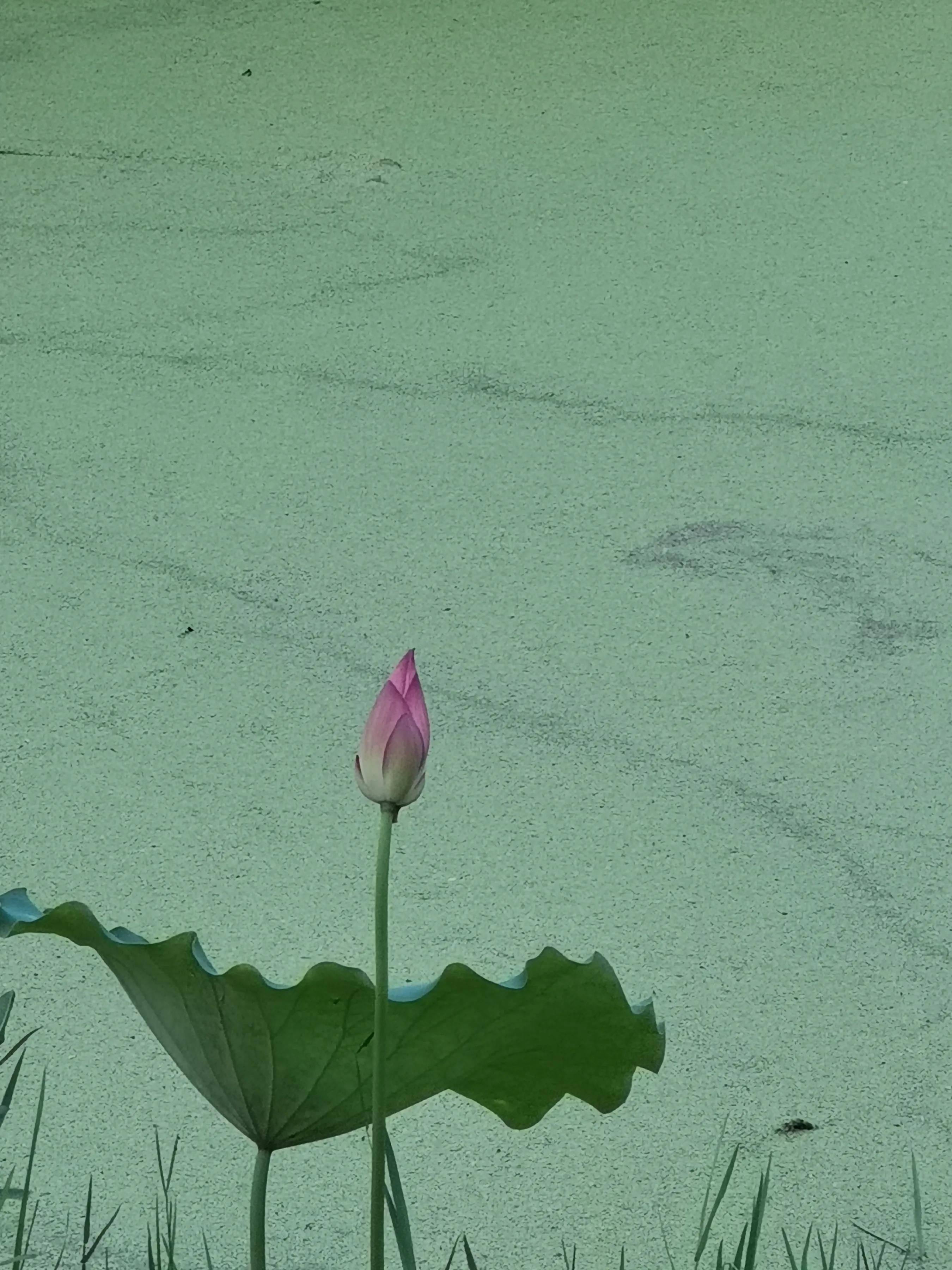 手拍世界手机摄影平台,手拍世界摄影交流平台