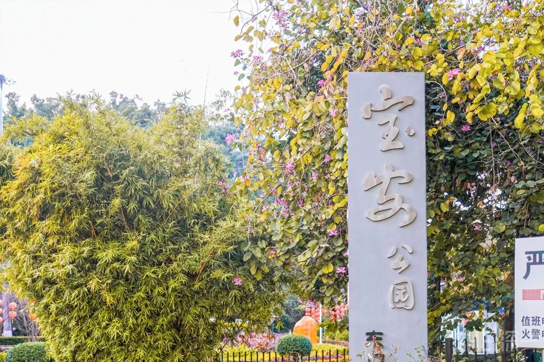 疫情期间免费开放的公园,疫情期间开放的公园有哪些