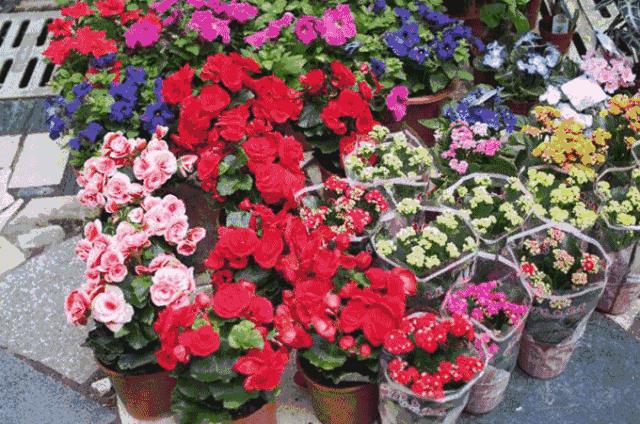 深圳年货批发市场拿货渠道,深圳南山年货市场在哪里