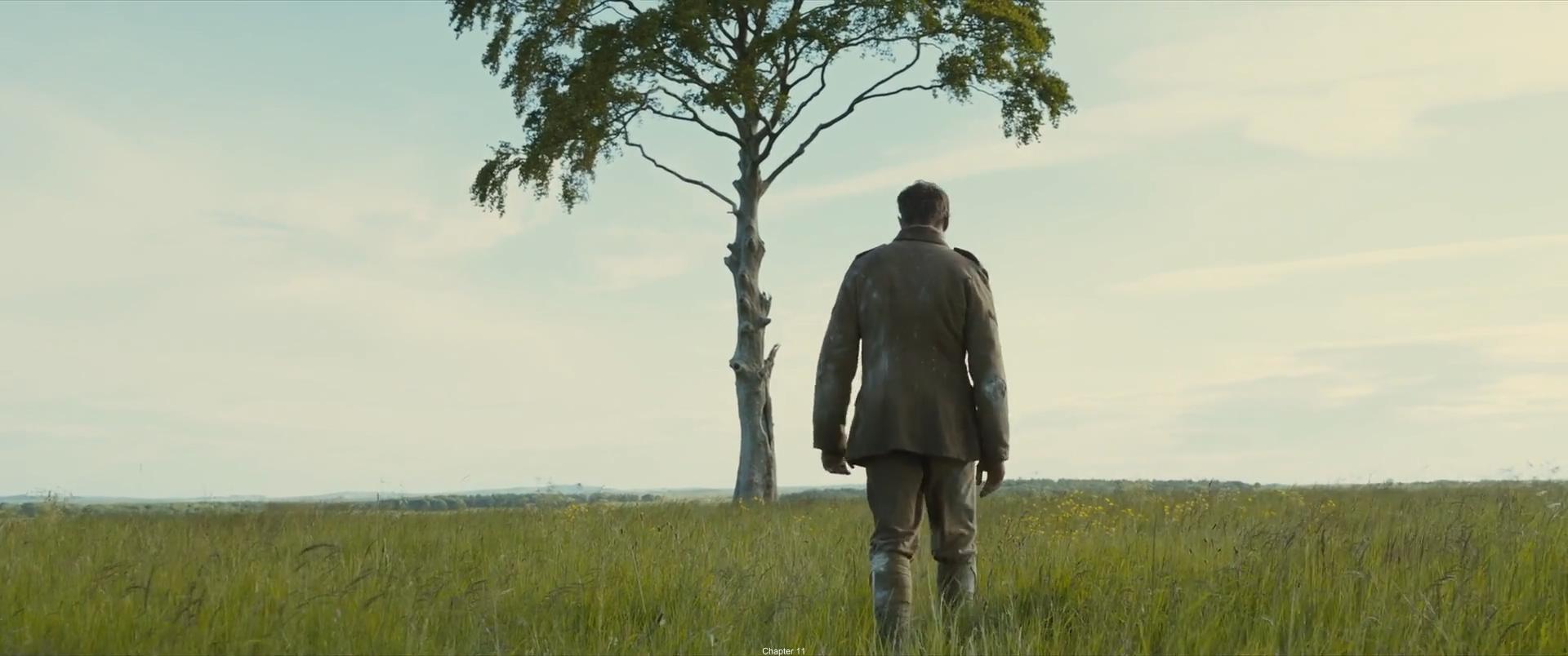 电影1917细节深度解析,电影1917讲的什么故事