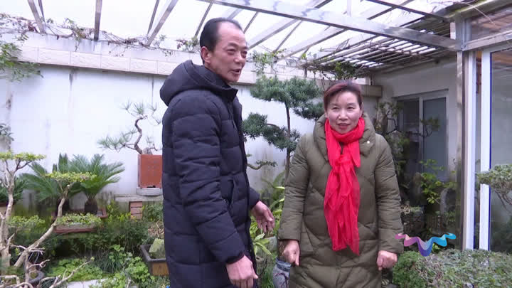 宝应草根歌手,央视幸福账单节目种草人