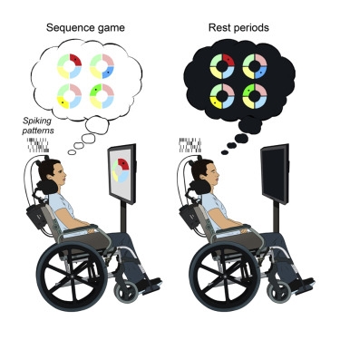 大脑有Replay模式？没错，就在你睡着后