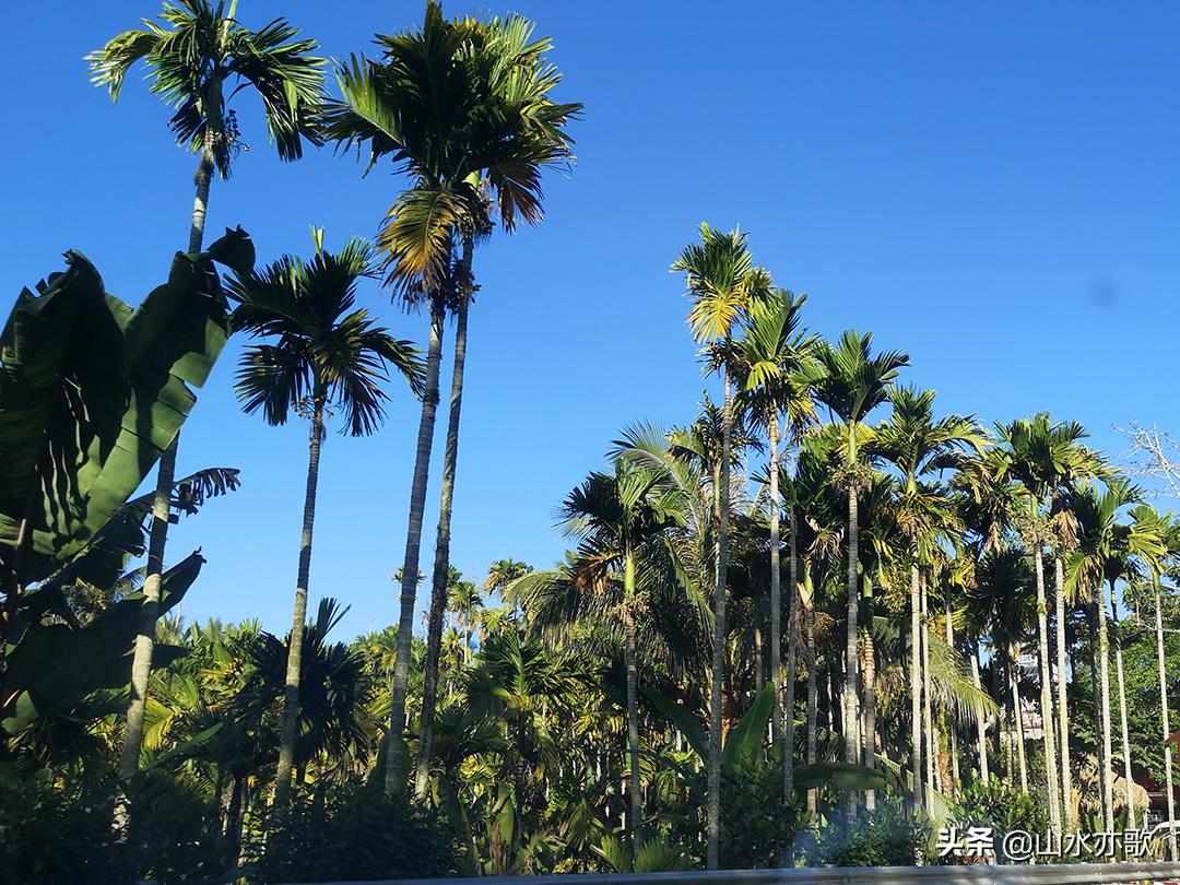 石家庄自驾海南旅游攻略,石家庄到海南三亚自驾游最佳路线