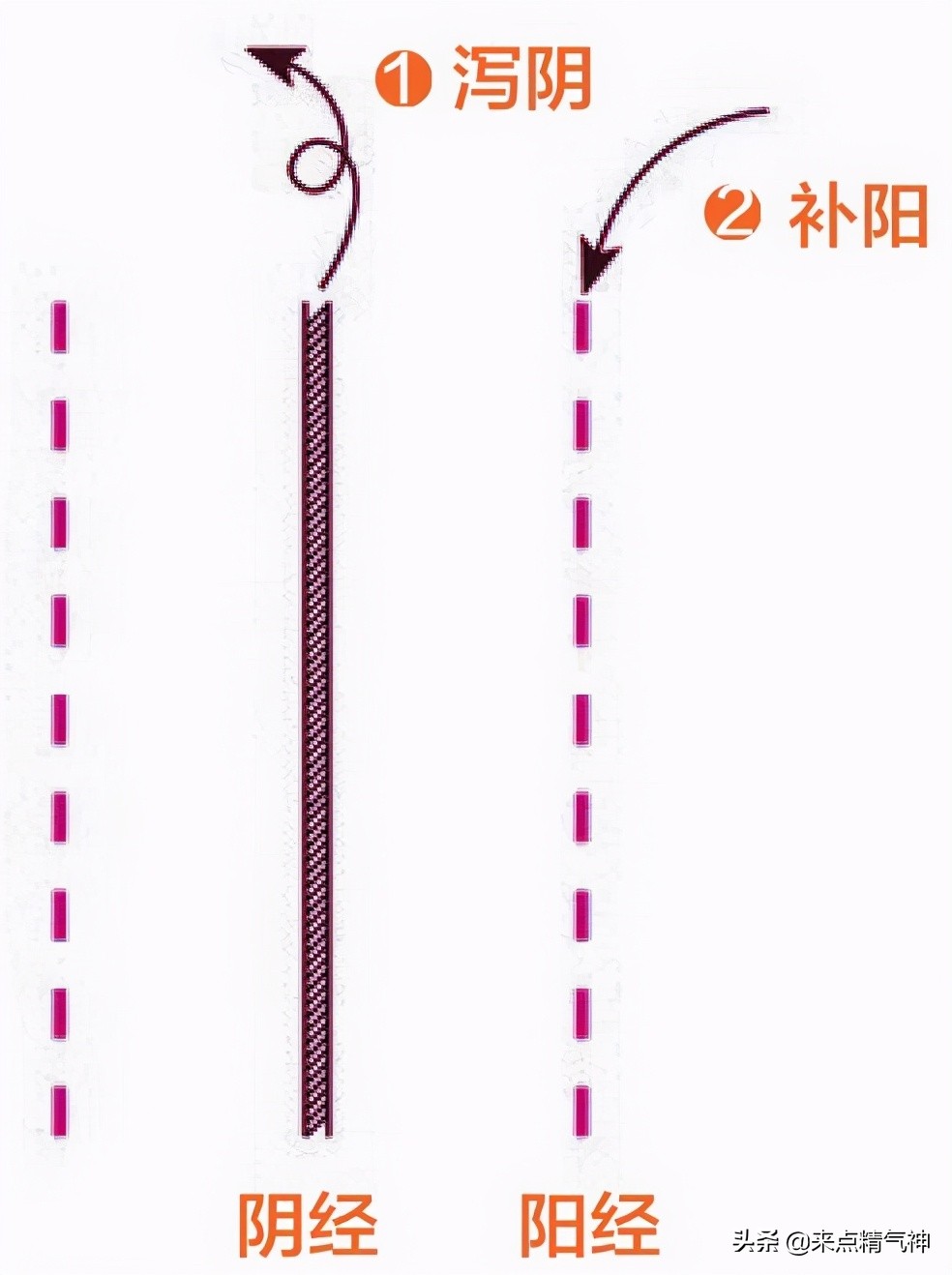 阴阳失调阴阳偏盛阴阳偏衰,阴阳失调阴阳两虚中成药