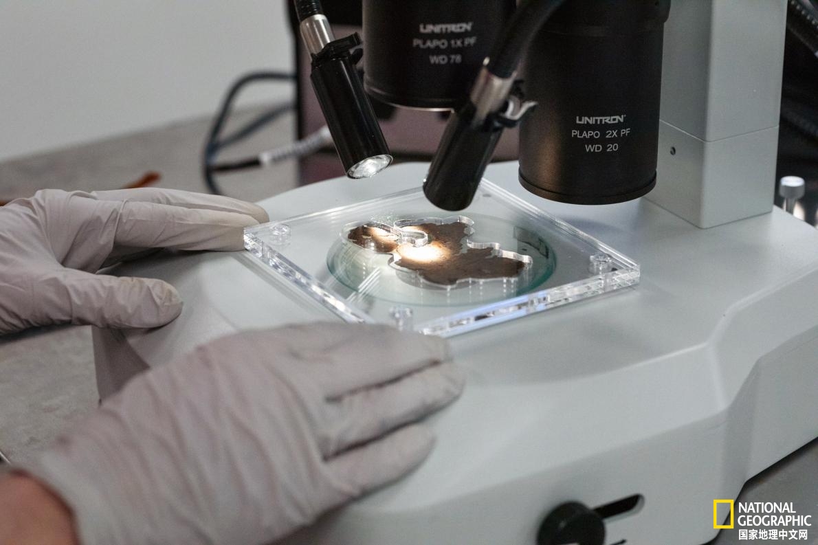 举世震惊！圣经博物馆的死海古卷全部为赝品