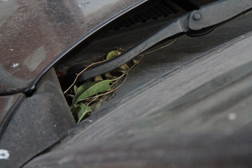 沃尔沃s80l翻新整备上海,沃尔沃s80l老车翻新福鼎