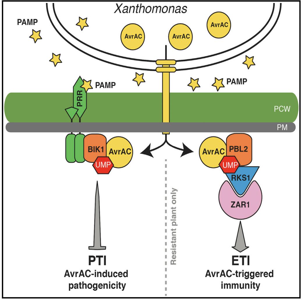 施一公与徒弟颜宁,施一公徒弟颜宁