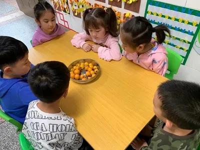 快乐采摘,采摘快乐收获喜悦