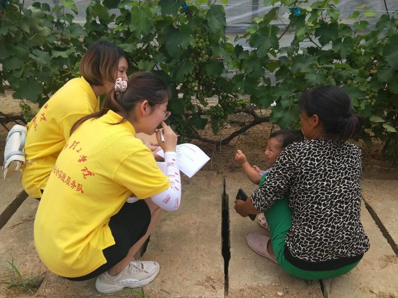 南阳理工学院三下乡社会实践,河南农业职业学院大学生三下乡