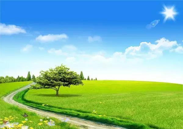 飞鹤和伊利蒙牛君乐宝,飞鹤伊利君乐宝哪个更有前景