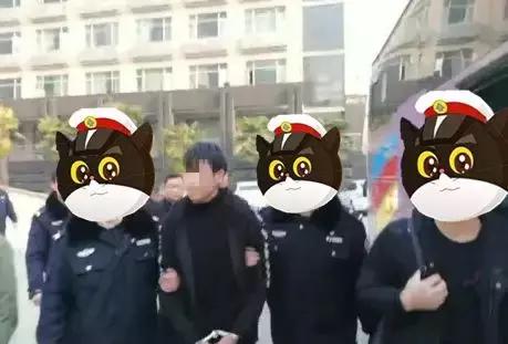 河南信阳警方抓获诈骗团伙,信阳警方打击电信诈骗