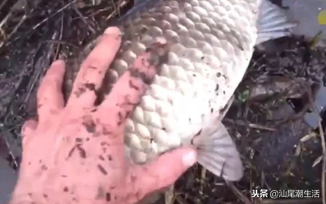 汕尾陆河农村,广东汕尾陆河新农村