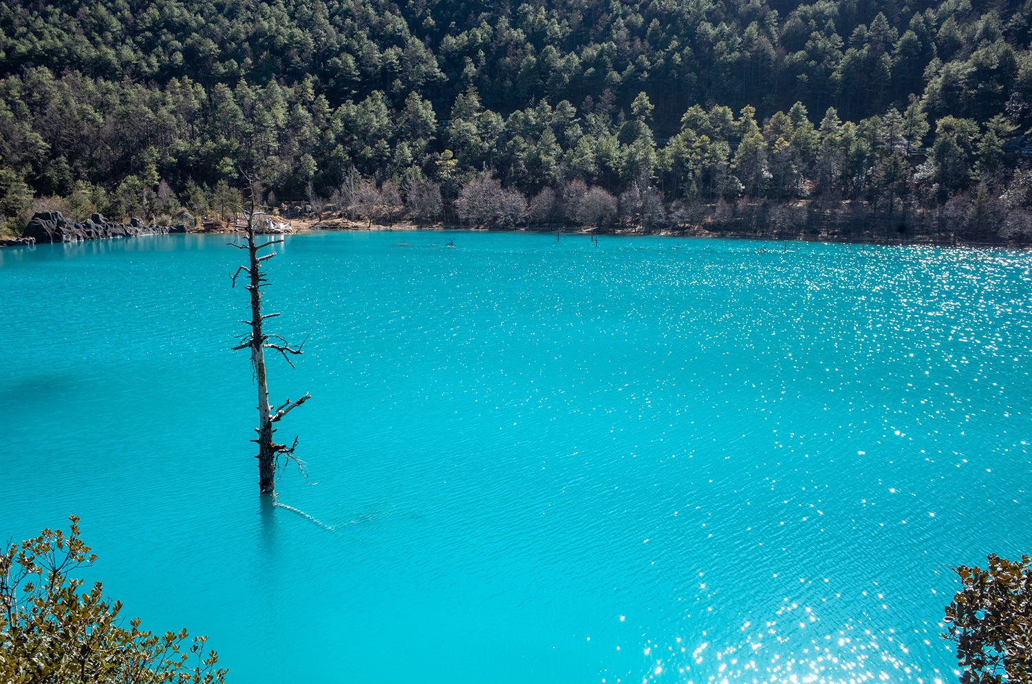云南丽江旅游攻略必去景点推荐,云南丽江旅游必去的景点攻略大全