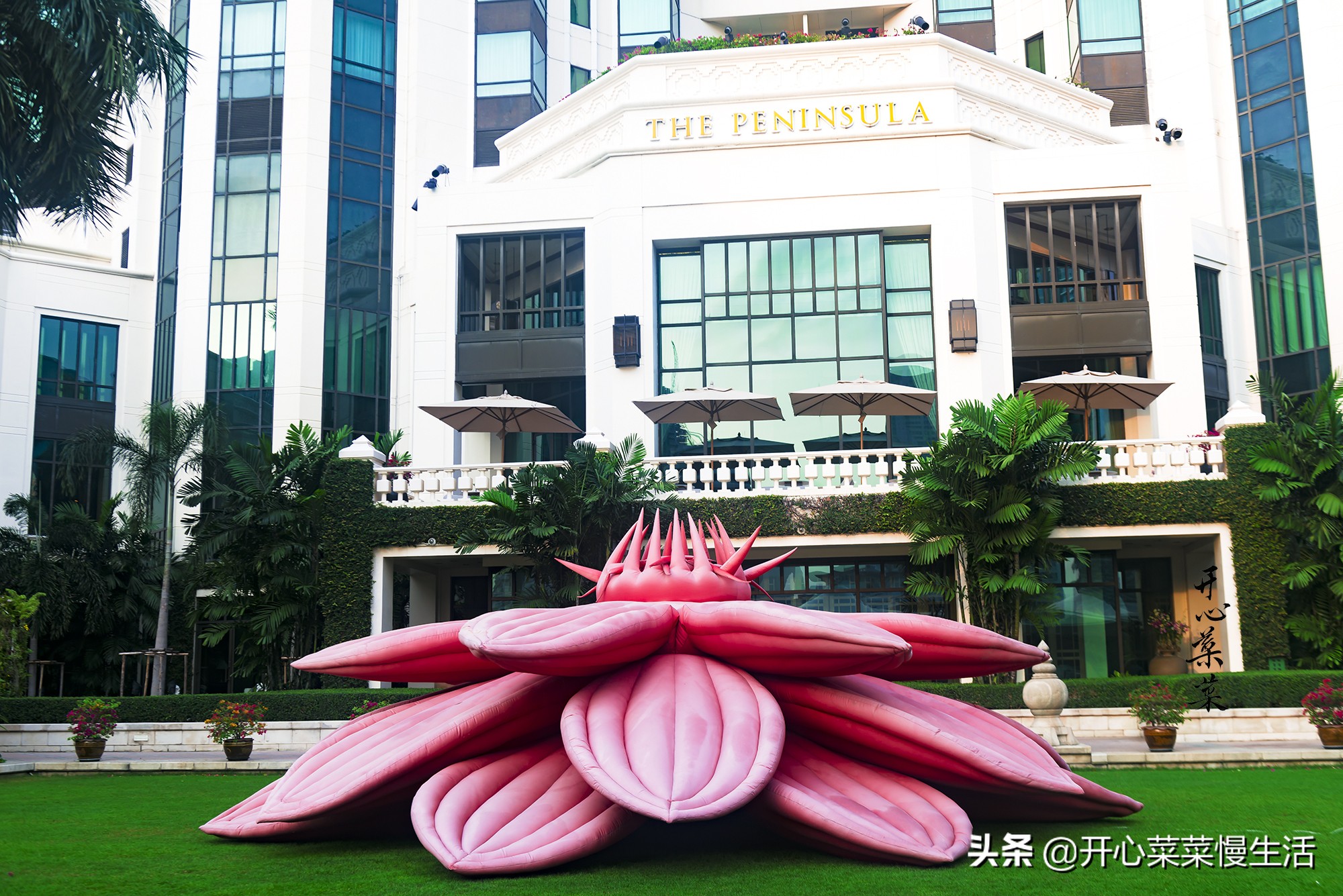 曼谷性价比最高的5星级酒店,曼谷最豪华酒店房间