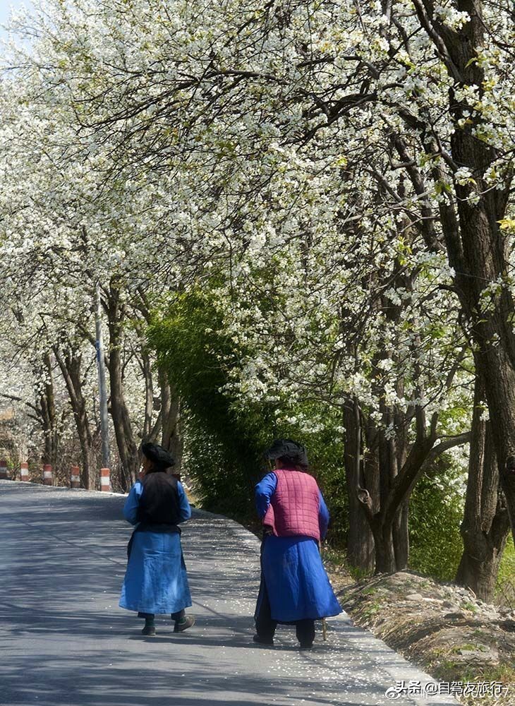8月最佳旅行地推荐自驾游,4-5月份最佳的自驾短途旅行