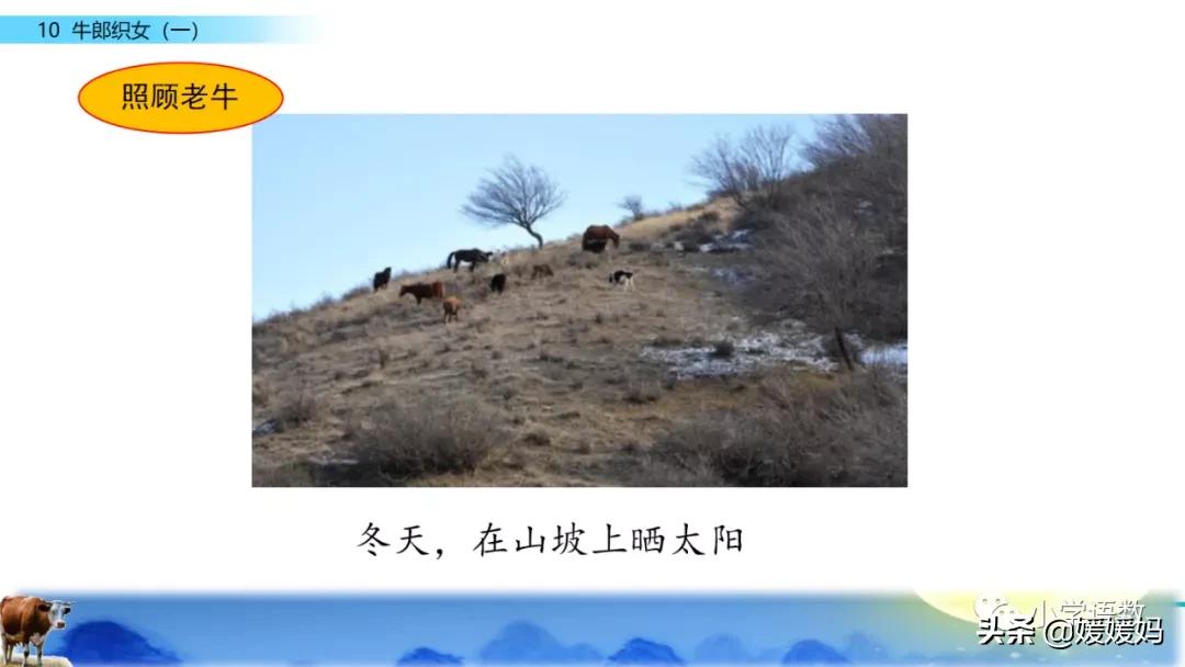 部编版五年级语文上册牛郎织女题,五上语文牛郎织女第10课ppt
