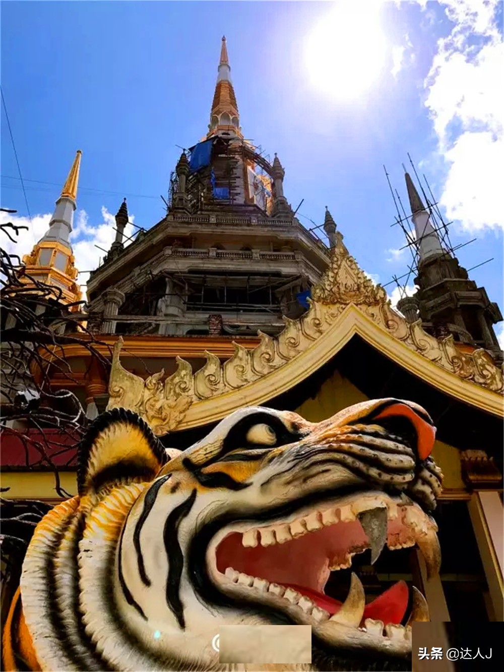 跟着小宇游日本,跟着小天玩游戏