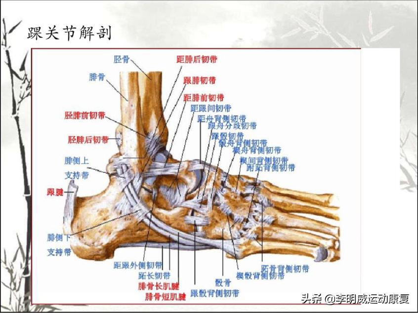 习惯性崴脚找谁治疗,崴脚后习惯性崴脚