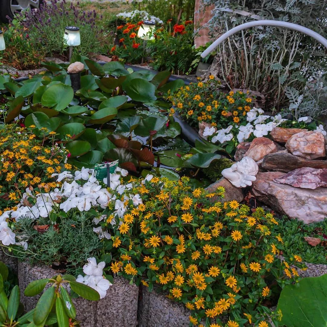 英伦风水景雕塑图片,景观亲水平台图片