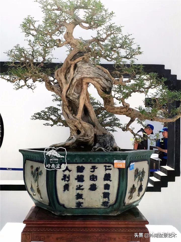 骞哥涔呬箙鐢滅敎铚滆湝,骞哥涔呬箙