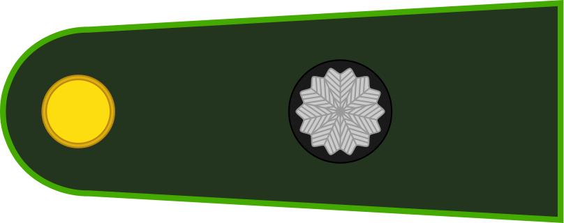 各国军衔标识俄罗斯,各国军衔标识