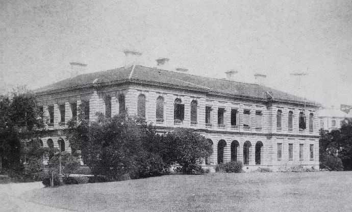 浦东人造大山,浦东人工岛