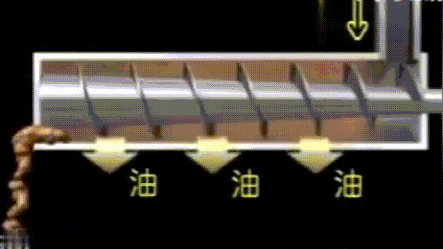 食用油是怎么榨出来的,食用油怎么压榨出来的